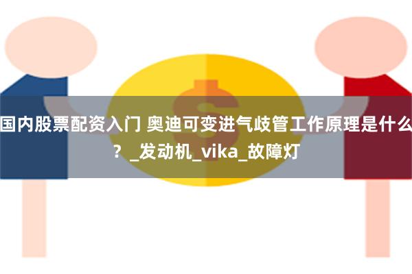 国内股票配资入门 奥迪可变进气歧管工作原理是什么？_发动机_vika_故障灯