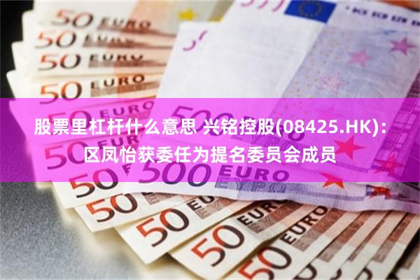 股票里杠杆什么意思 兴铭控股(08425.HK)：区凤怡获委任为提名委员会成员