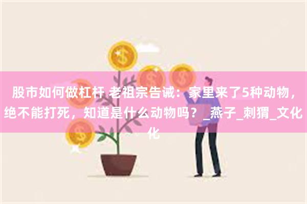 股市如何做杠杆 老祖宗告诫：家里来了5种动物，绝不能打死，知道是什么动物吗？_燕子_刺猬_文化